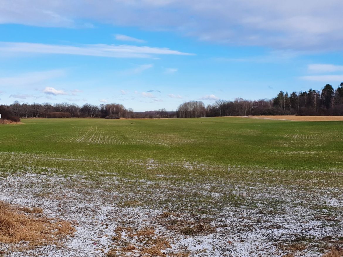 Ożywienie na rynku działek mimo zimy – z czego wynika?